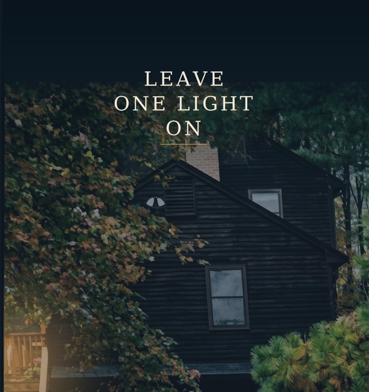 Cover of Leave One Light On by Theodore Johnson